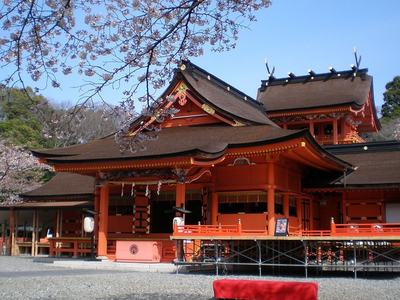 富士山本宮浅間大社の桜に囲まれた本殿