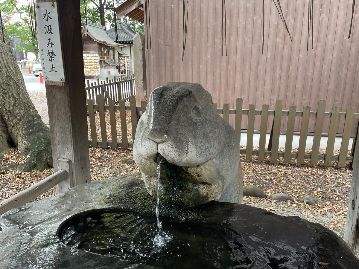 手水の水は、うさぎの口から